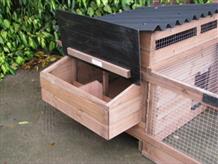 Hereford poultry house optional external nestbox